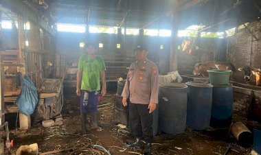 Bhabinkamtibmas-Desa-Pekarungan-Cek-Program-Ketahanan-Pangan-P2B-Peternakan-Kambing-dan-Sapi